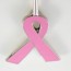 Pink Ribbon Keyfinder